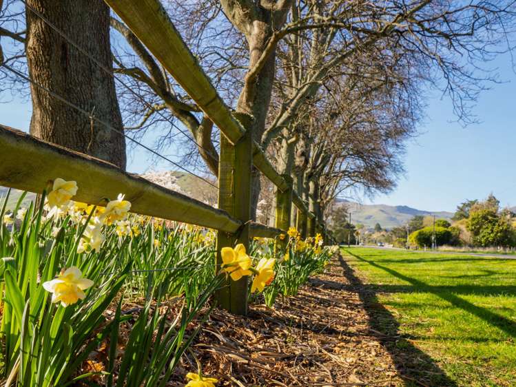 4217 Christchurch Akaroa Road Little River_34