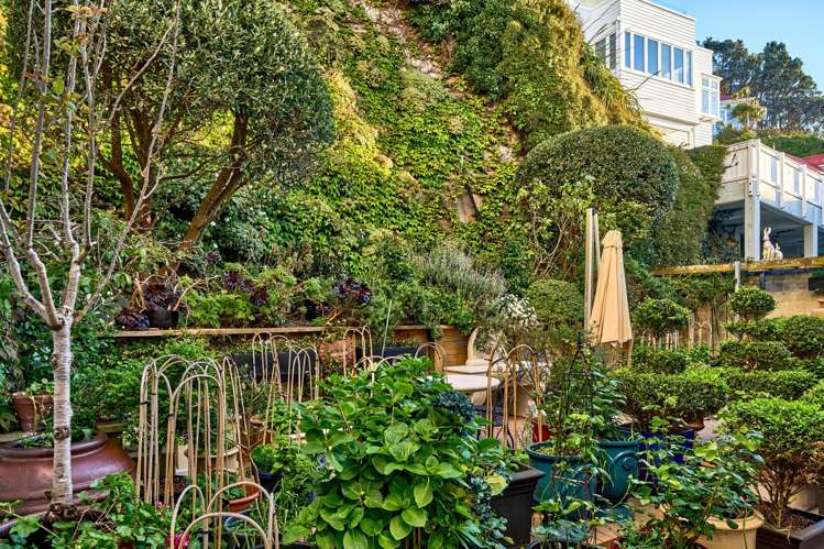 340 Oriental Parade Oriental Bay_29