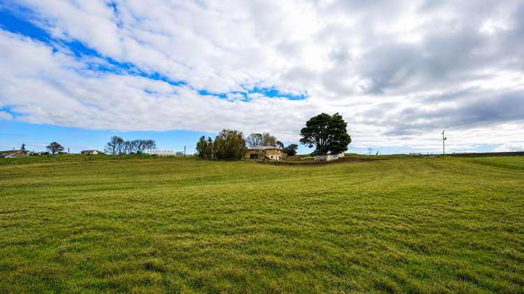 408 Waerenga Road Te Kauwhata_25