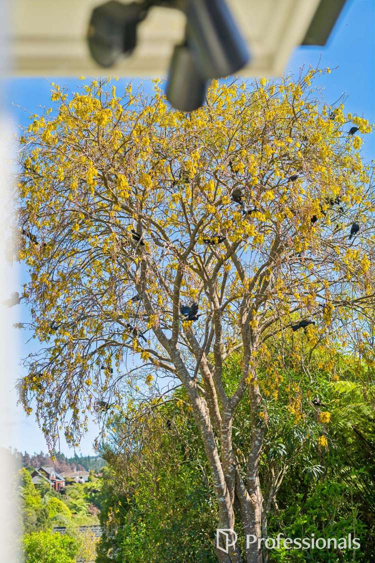 14 Wyndham Road Pinehaven_19