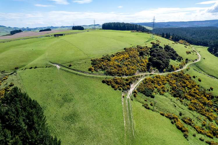 Waihola Hill Road Milton_13