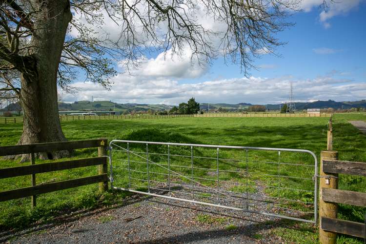 374 Victoria Road Pukemoremore_2