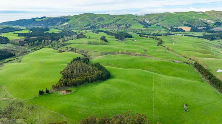 1241 Blythe Road Domett_24