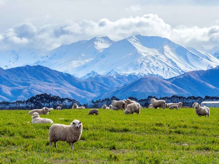 452 Methven Chertsey Road Methven_8