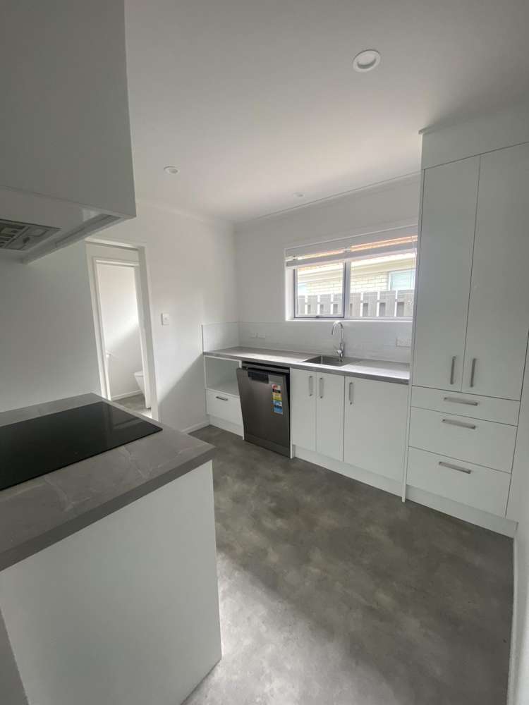 5a North Street Morrinsville_4