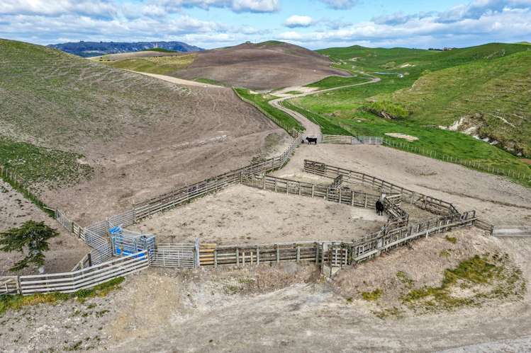 2152 Puketitiri Road Central Hawkes Bay Coastal_9