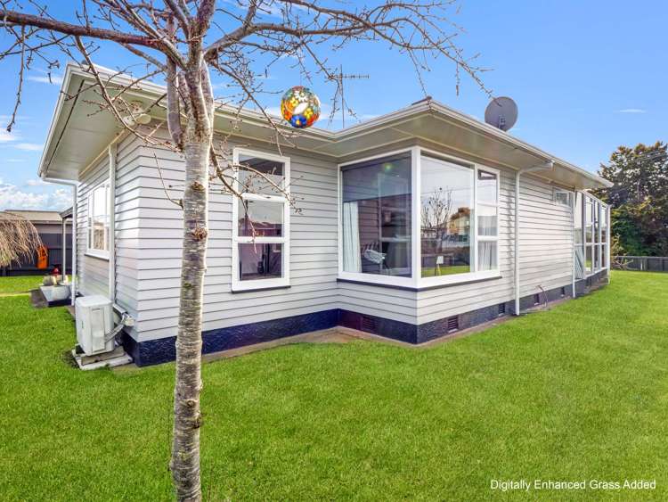 16 Meadowvale Drive Levin_28