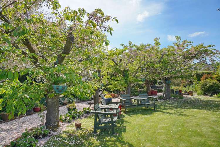 17 Dover Street Leithfield_18