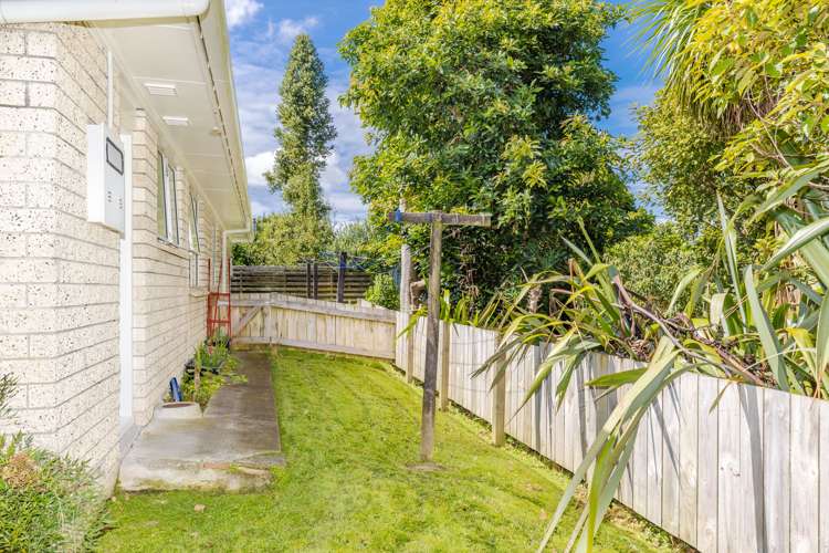 31a Lewis Street Glenview_16