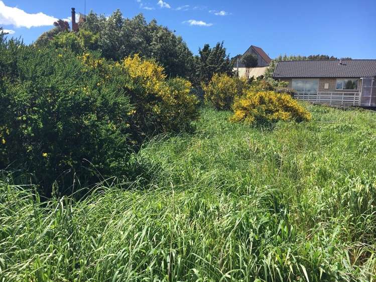 199 Highcliff Road Shiel Hill_7