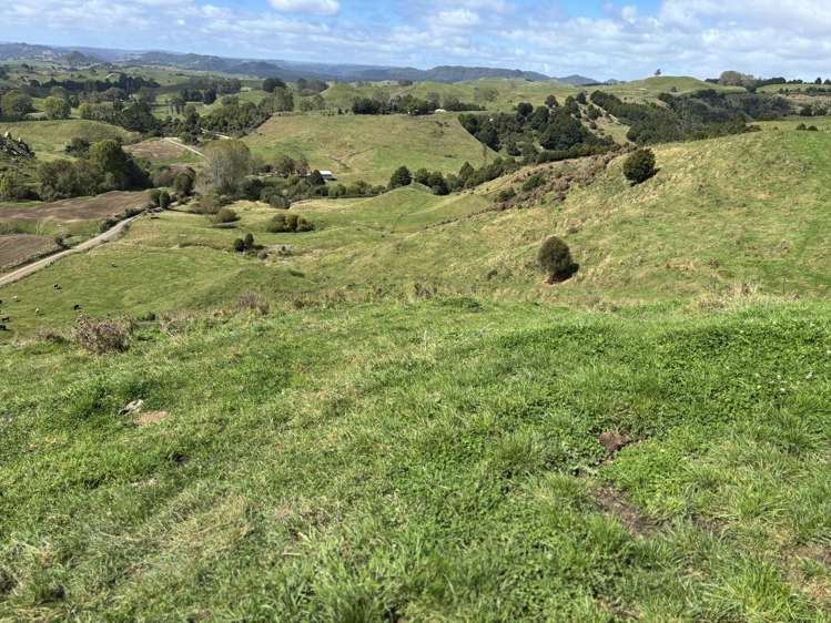 Paraketu Road Waimiha_3