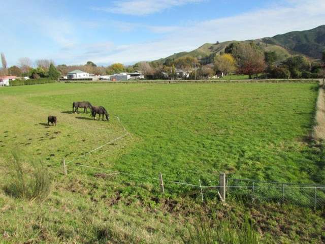 14 Wakefield Street Tuamarina_3