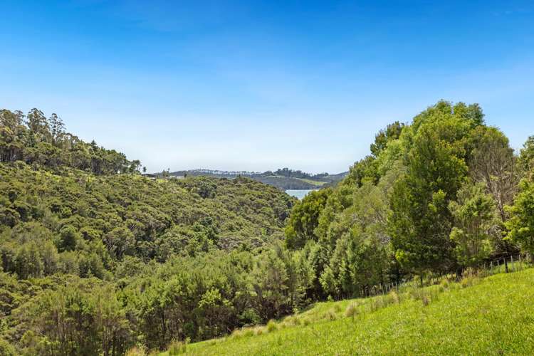 708. Waikino Road Kawakawa_39