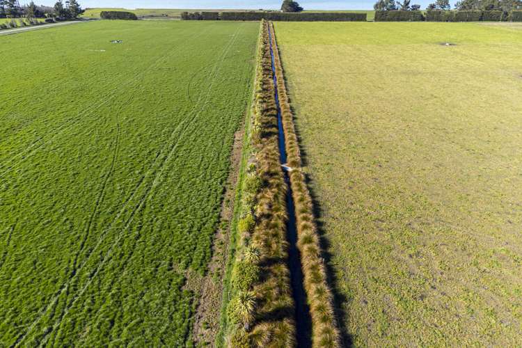 368 Crows Road Coldstream_6