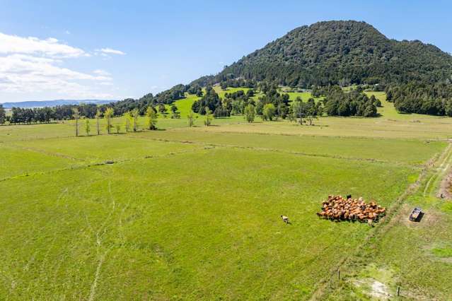174 Jordan Valley Road Hikurangi_4