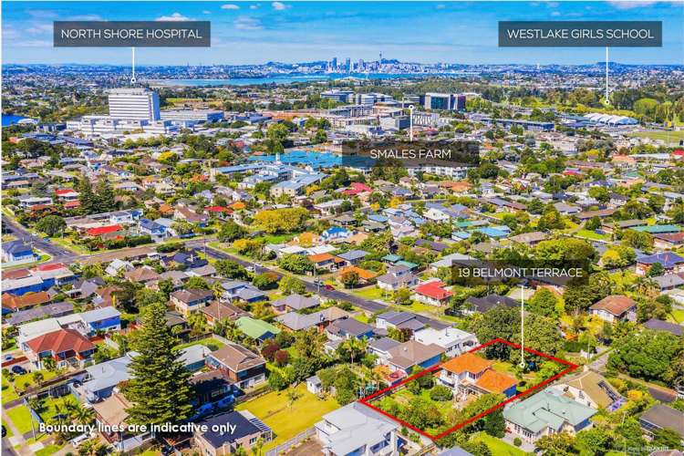 19 Belmont Terrace Milford_13