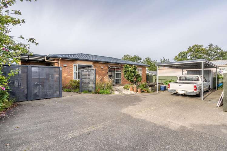 11 Bourke Street Windsor_0