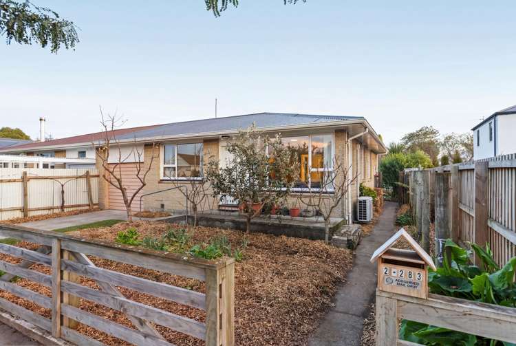 2/283 Lyttelton Street Spreydon_0