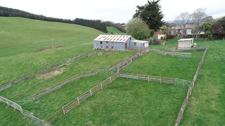 149 Teaneraki Road Windsor Park_13