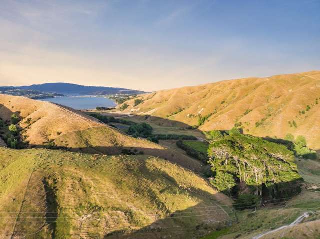 Lot 2/269 Grays Road Pauatahanui_3