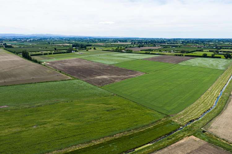 85 West Road Havelock North_22