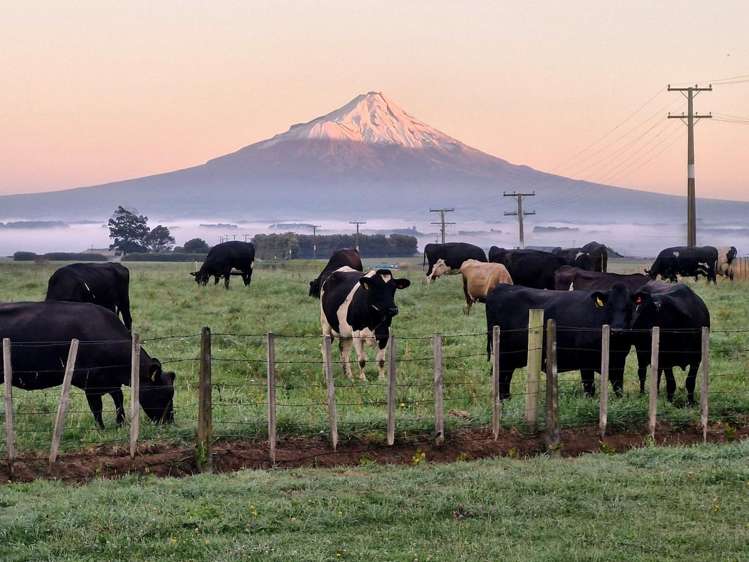 3 Tihi Road Hawera_20