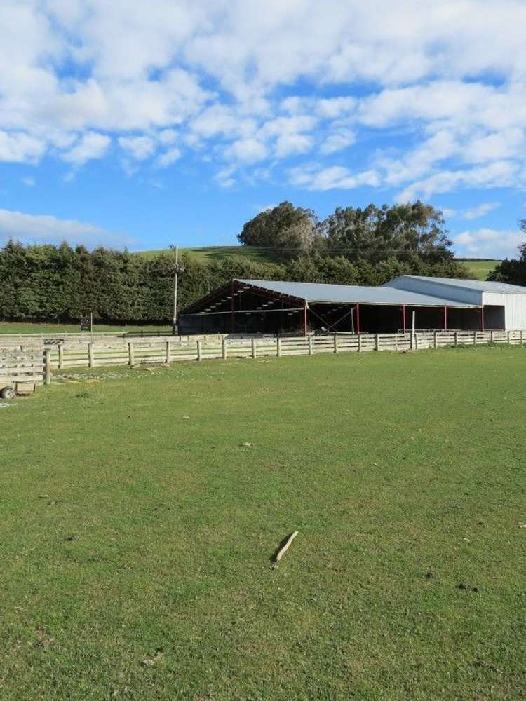 649 Kauru Hill Road Five Forks and Surrounds_1