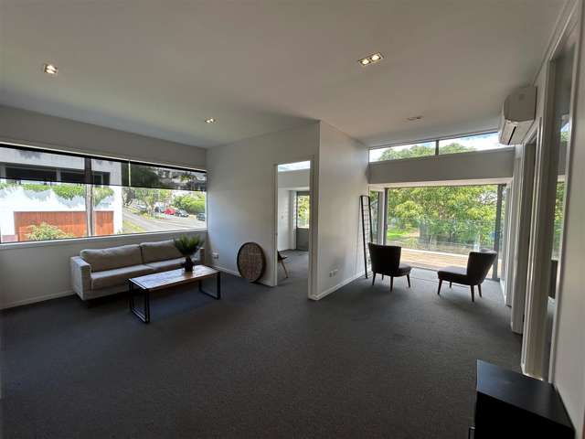 41C Crummer Road Grey Lynn_2