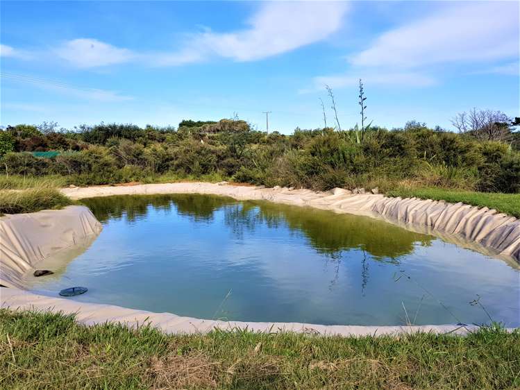 1246 Babylon Coast Road Dargaville Surrounds_11