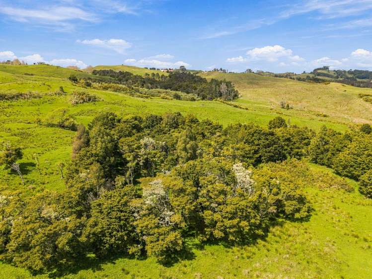 535 Oruawharo Road Wellsford_24