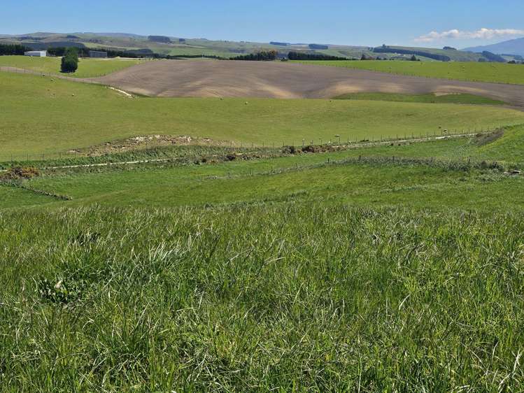 116 Burraness Street_5