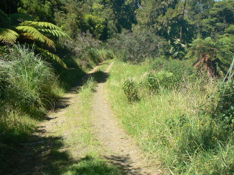 Takahue Saddle Rd Broadwood_6