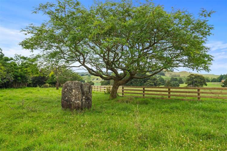 120 Springs Road Poroti_13