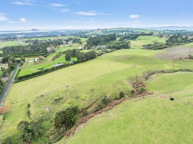 20 Laurel Drive Whakamarama_4