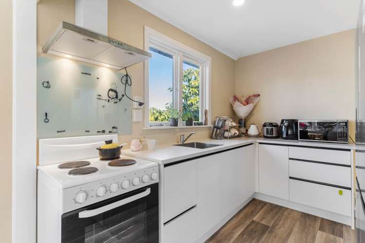 33 Bayfield Road Ponsonby_15