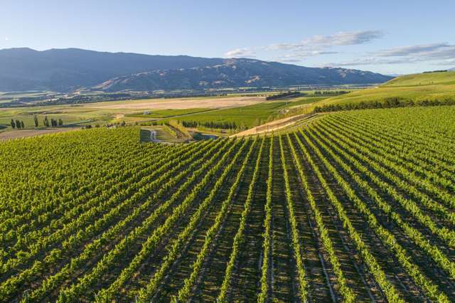 370 Bendigo Loop Road Bendigo_3