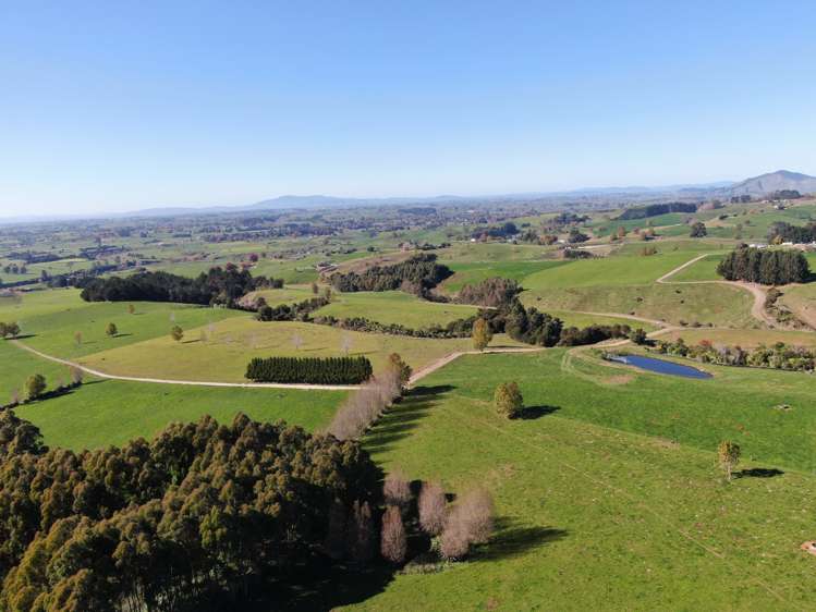 480 O'Shea Road Pirongia_11