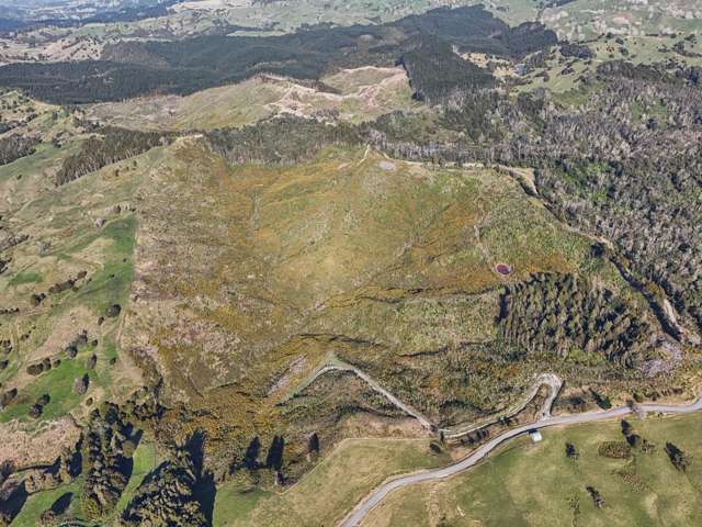 213 Hilford Road Waiotira_1