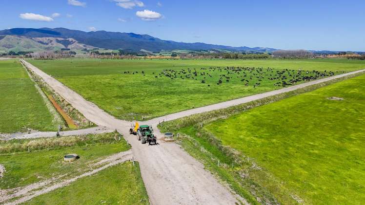 1807 Kahutara Road Kahutara_7