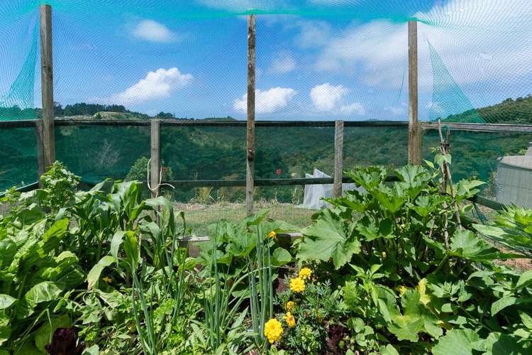 101 Waitokitoki Way Tutukaka_6