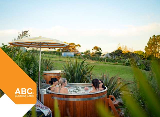 Premium Hot Tub & Ice Bath E-Commerce Business