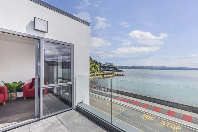 5/148 Evans Bay Parade Roseneath_3