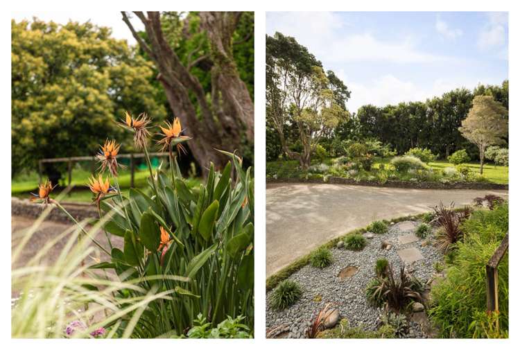 287 Wharawhara Road Katikati_42