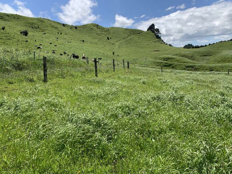 678 Bird Road Stratford_13