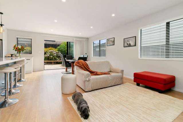 17 Lisnoble Road Flat Bush_2