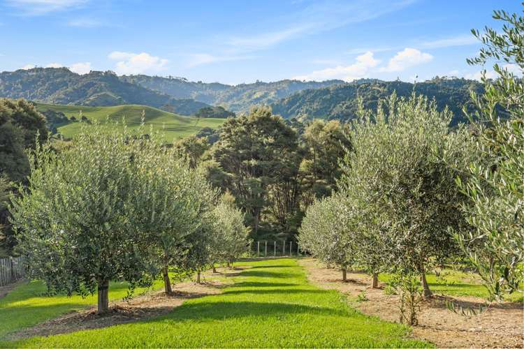 100 Mccathie Road Wainui_34