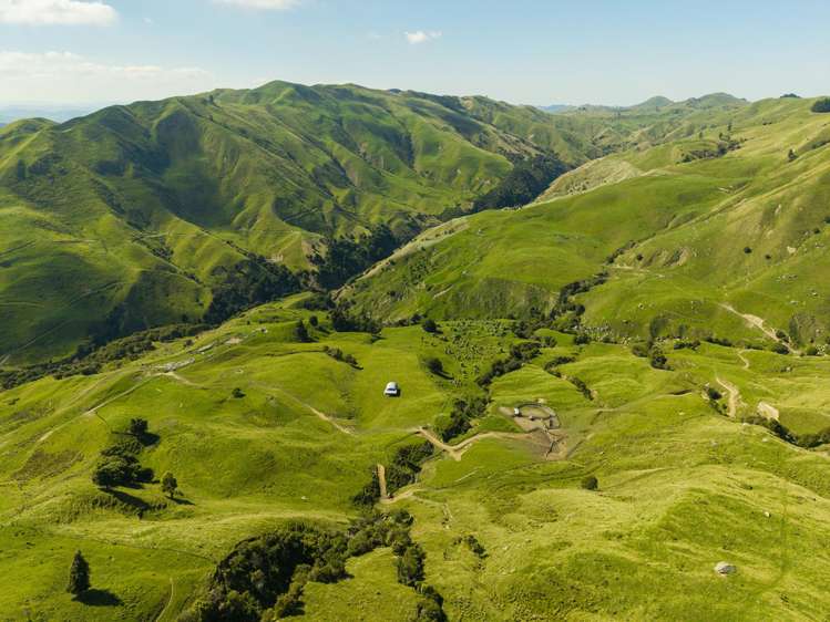 Matawai Station, 772 Oliver Road Matawai_7