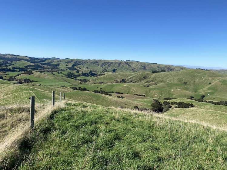 48 Heathfield Road Waipara_8