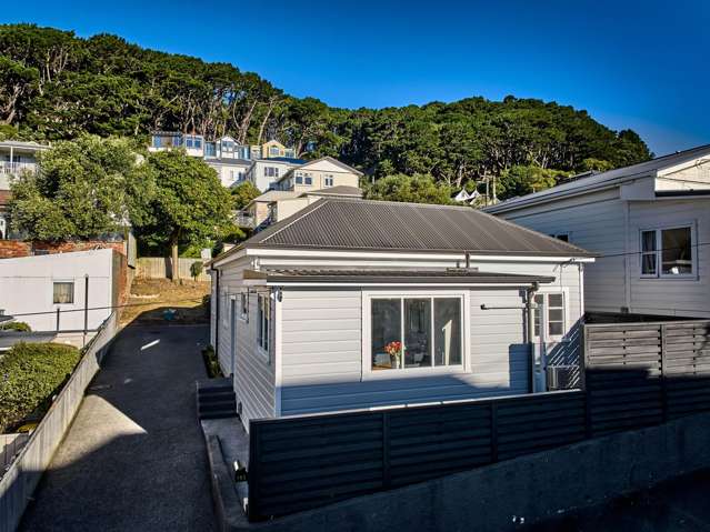 Renovated & Ready - Mount Victoria Charm