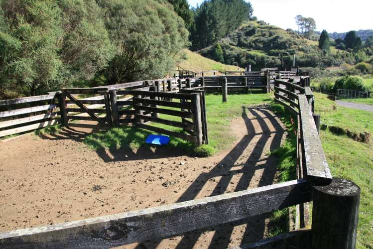 4869 Ohura Road Pohokura_20